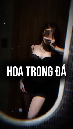Hoa Trong Đá
