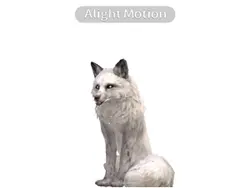 Wildcraft animation