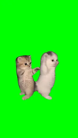 kitten dance trend