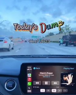 Today's Dump