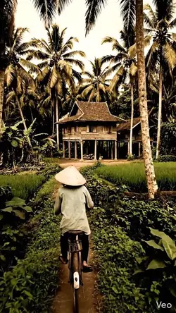 Pepatah orang tua