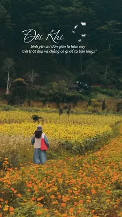 Caption Bình Yên.|