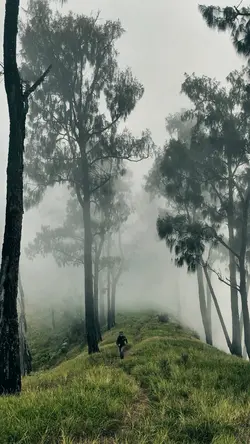vibe kabut