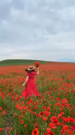 2 video