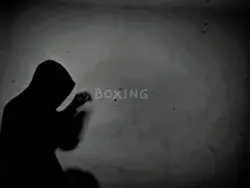 boxing trend 