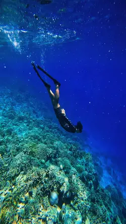 Underwater filter
