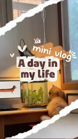 Mini Vlog