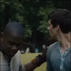 The maze runner