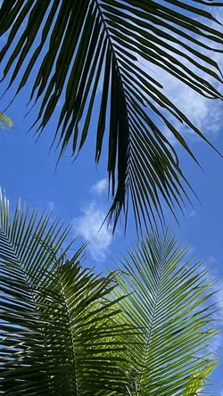Foto panorâmica.