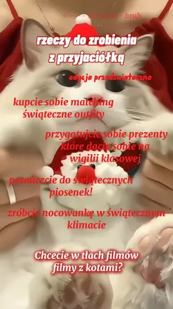christmas porady 2/?