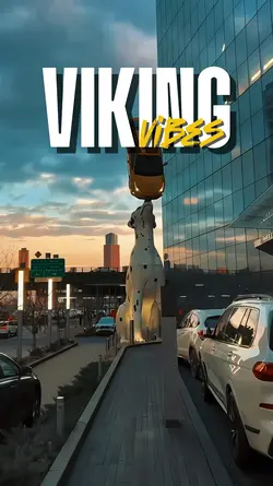 VIKING VIBES