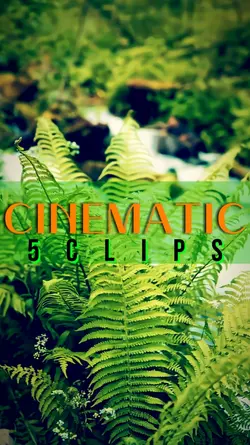cinematic 5 videos 