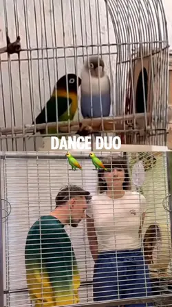 Dance duo 🦜🦜