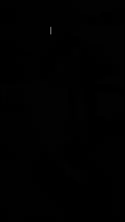 mẫu 8/3_ny