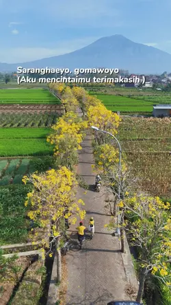 Saranghaeyo