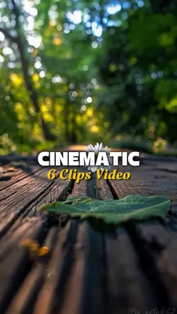 6 Videos Cinematic