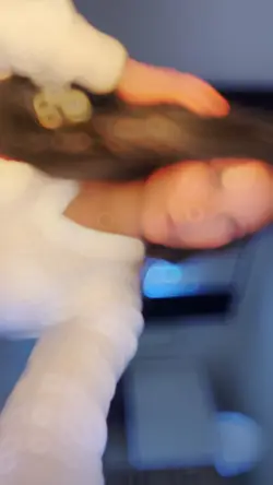SlowMo