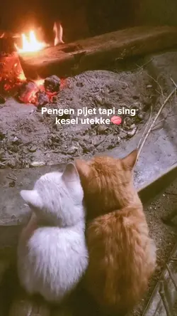 pengen pijet tapi