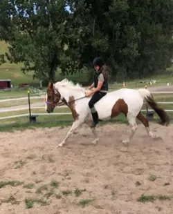 My new pony honey 
