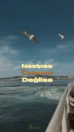 Nasip…