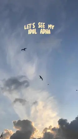 1Video+5FotoIdulAdha