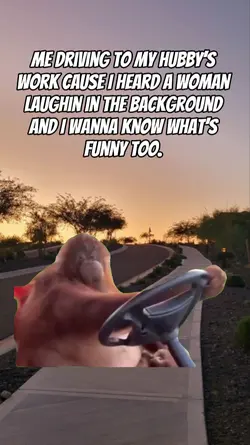 monkey driving