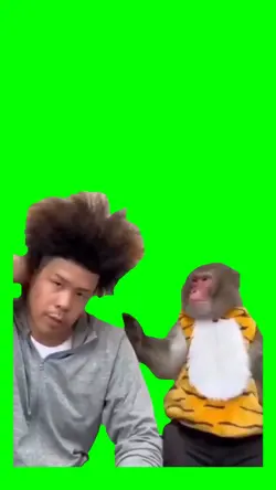 funny monkey meme 