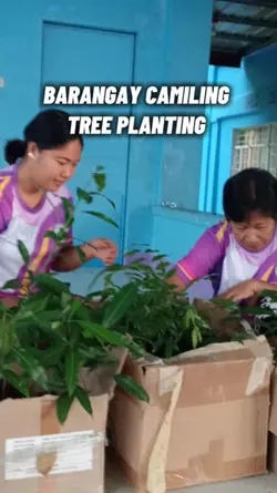 Tree Planting 