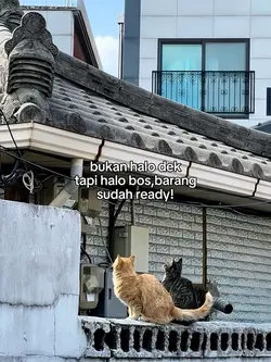 barang ready
