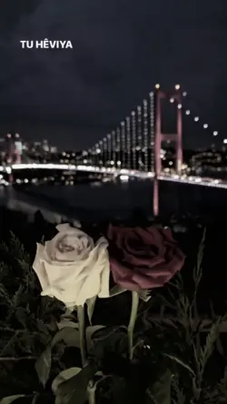 Tu evina dılemıbuy