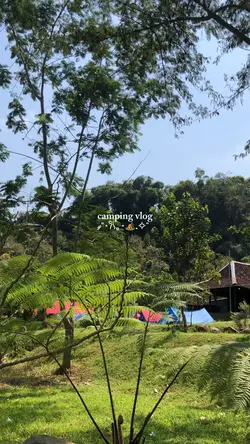 camping vlog 