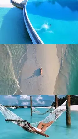 Travel Record 