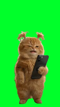 Bad singing cat waka