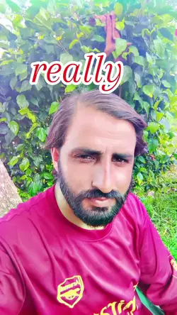 new templete 