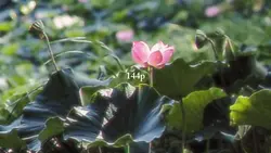144p TO 4K QUALITY