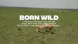 Born Wild