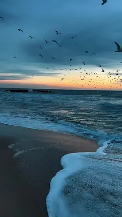 hindi song slowmo