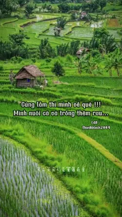 Về quê nuôi cá...