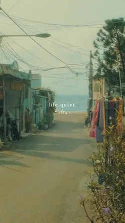 life quiet