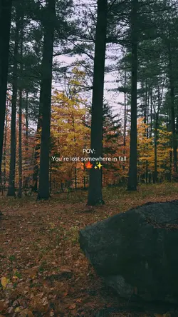 AUTUMN POV