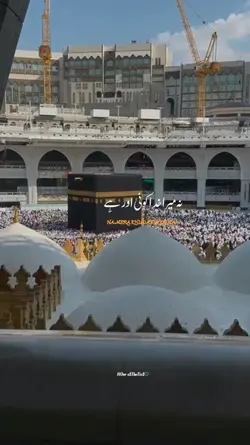 نہ تیرا خدا کوئی اور