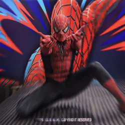 SPIDER MAN