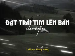 Anh sẽ đặt trái tim 