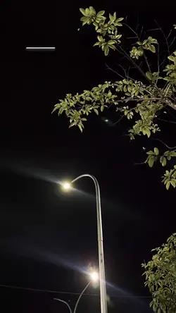 kata kata hari ini