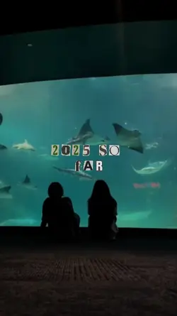 2025 so far