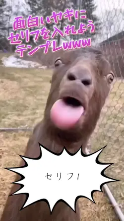 面白いヤギにセリフを入れようテンプレ