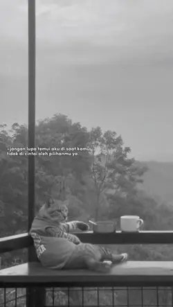 Kucing galau