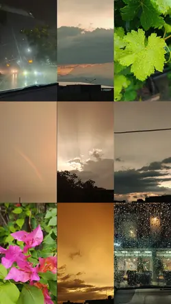 Moonsoon colours 