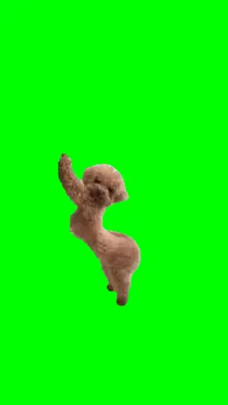 Dancing Dog