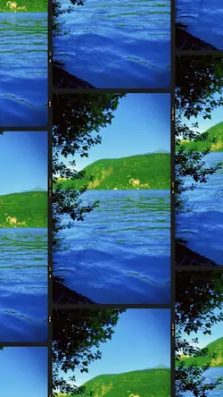 9 clip or photo 